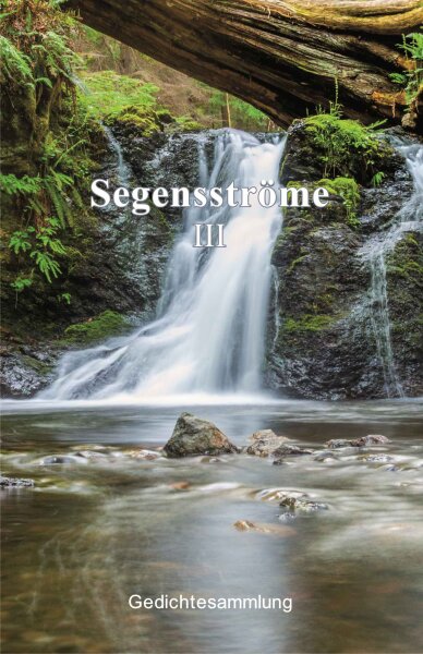 Segensströme III