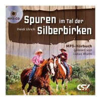 Spuren im Tal der Silberbirken (MP3 Hörbuch)