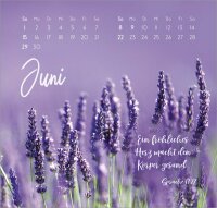 Zarte Blumengrüße 2025 - Wandkalender