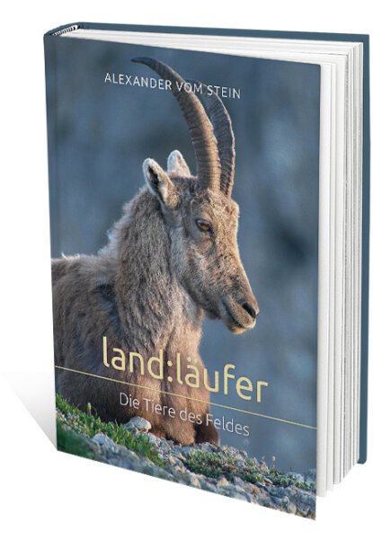 land:läufer - Die Tiere des Feldes (Alexander vom Stein)