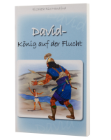 David- König auf der Flucht